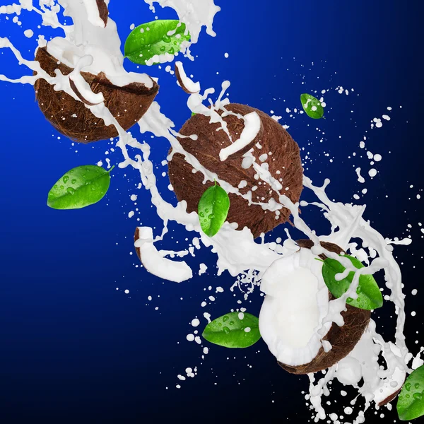 Coco rachado com leite salpicante — Fotografia de Stock