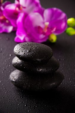 Spa natürmort