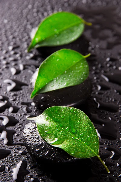 Spa naturaleza muerta — Foto de Stock