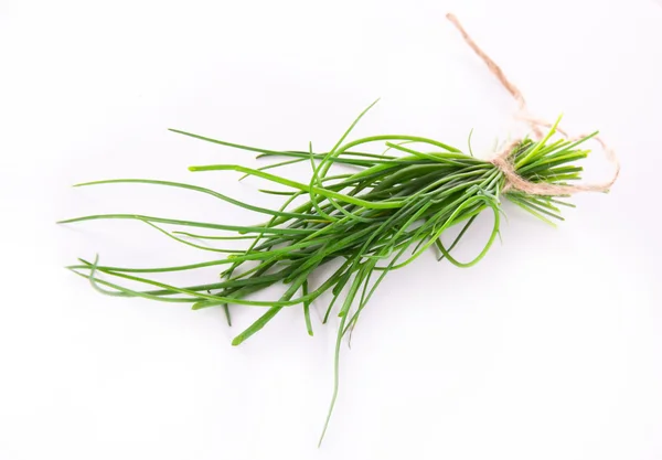 Fresh chive — Stock Photo, Image