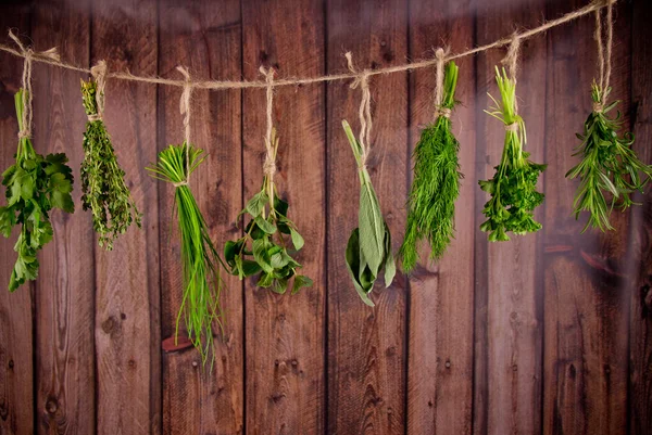 Herbs hanging on wooden background — Stock Photo, Image