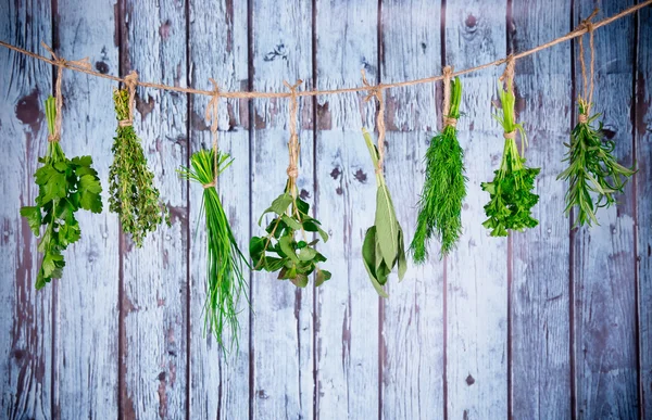 Herbes suspendues sur fond en bois — Photo