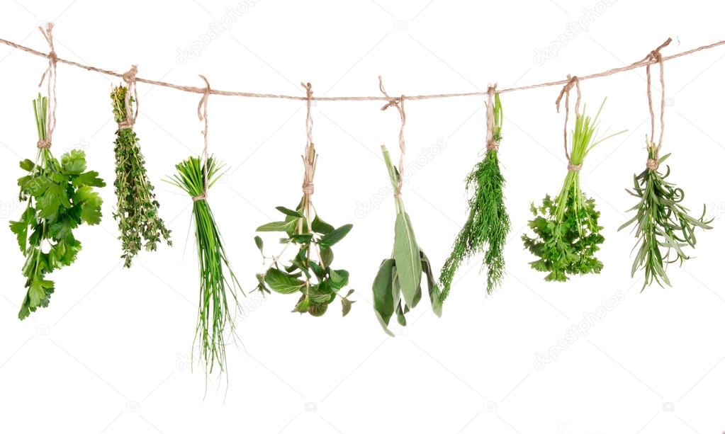 herbs hanging isolated on white background
