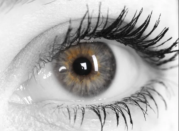 Eye of Woman — Stock Photo, Image