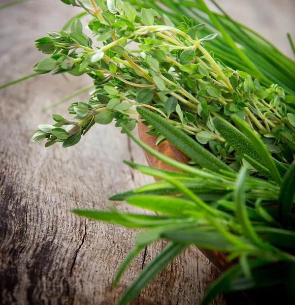 Свежие травы — стоковое фото