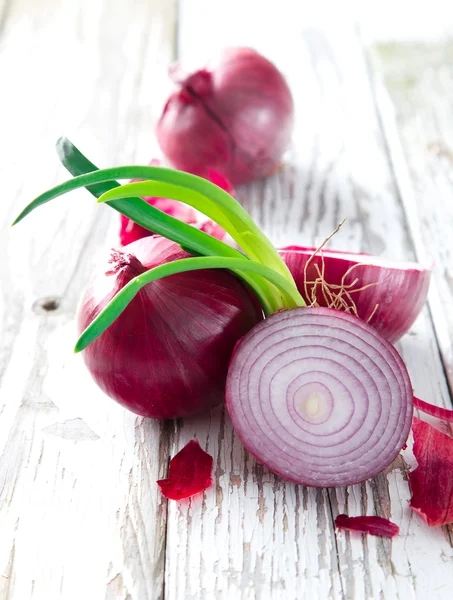 Purple onion — Stock Photo, Image