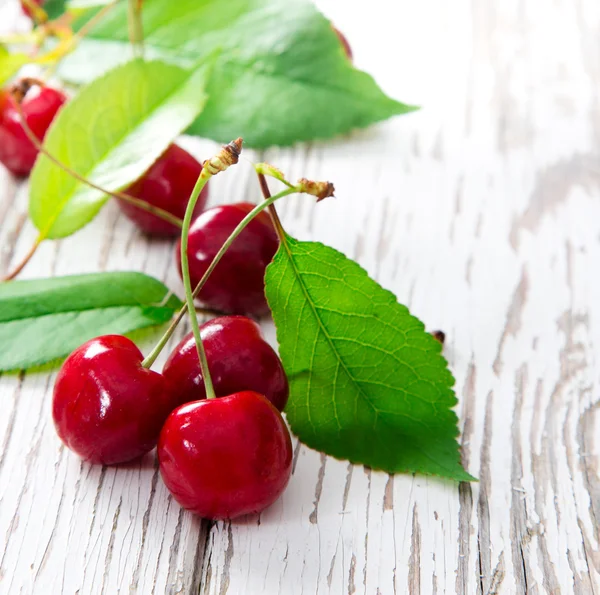 Fresh harvest of cherries — Stock Photo, Image