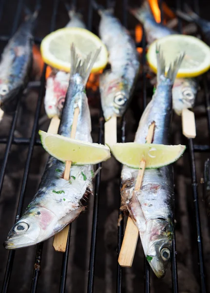 Vissen op grill — Stockfoto