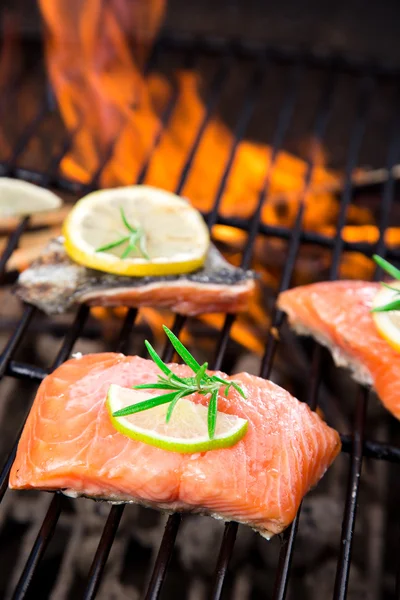 Salmon fillets — Stock Photo, Image