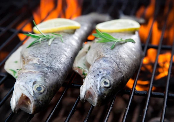 Fish on grill — Stock Image Fish on grill Royalty Free Stock Images