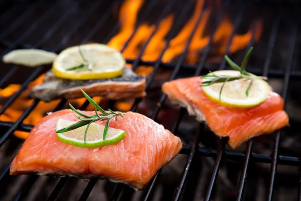 Filetes de salmão — Fotografia de Stock