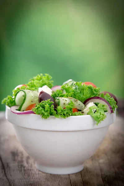 Frischer Salat — Stockfoto