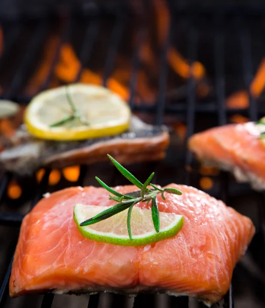 Salmon fillets — Stock Photo, Image