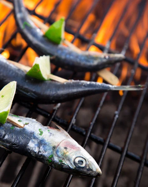 Peixe na grelha — Fotografia de Stock