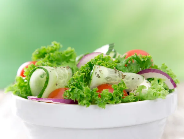 Frischer Salat — Stockfoto