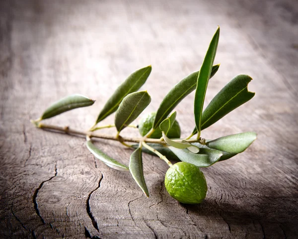 Aceitunas con hojas —  Fotos de Stock