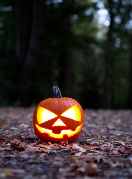 Fundo de Halloween — Fotografia de Stock