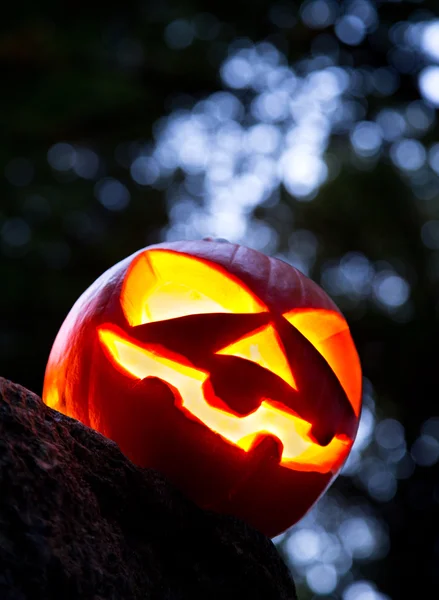 Halloween achtergrond — Stockfoto