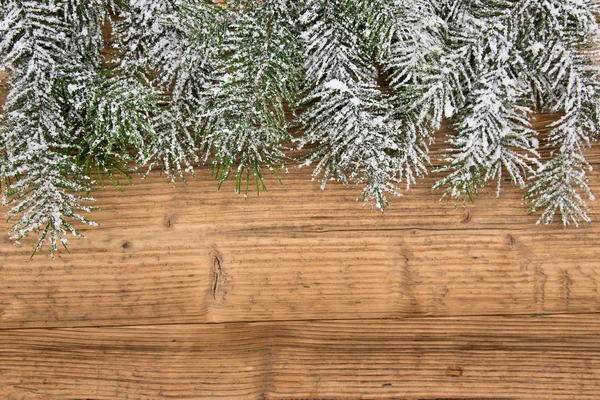 Fir kerstboom — Stockfoto