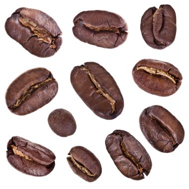 kahve çekirdekleri koleksiyonu