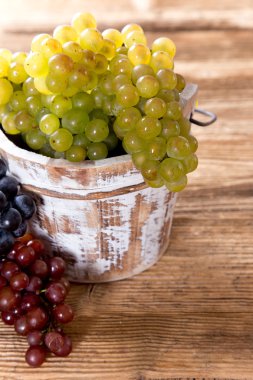 şarap üzüm asma dal