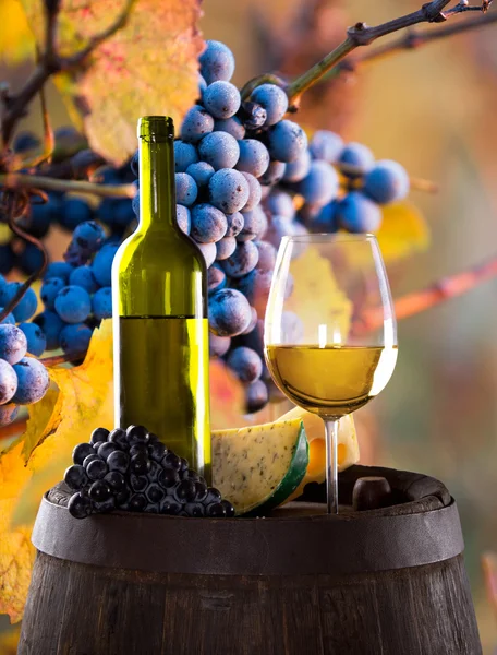 Garrafa de vinho e copos na mesa de madeira — Fotografia de Stock