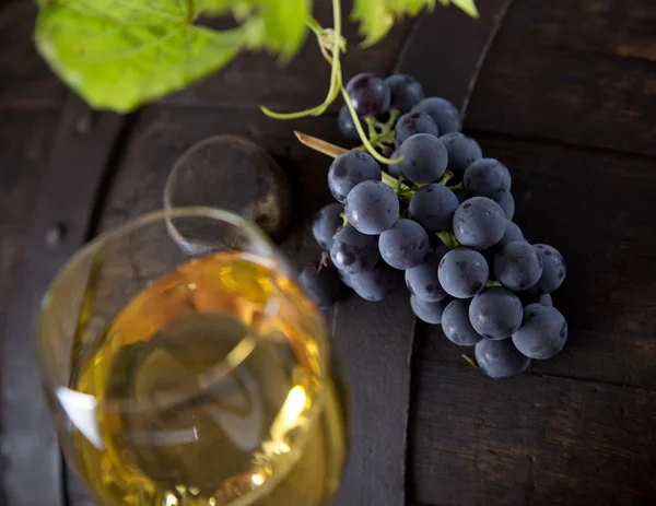 Wine grapes — Stock Photo, Image