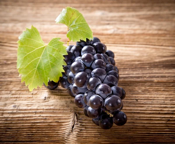 Uvas de vinho — Fotografia de Stock