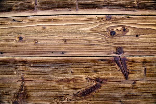 Textura de la madera de corteza — Foto de Stock