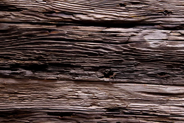 Texture du bois d'écorce — Photo