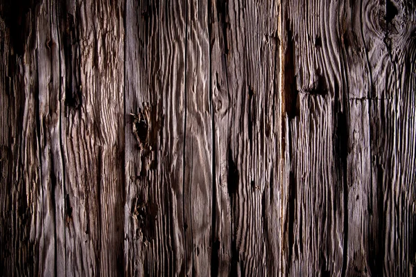 Consistenza del legno di corteccia — Foto Stock