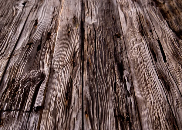 Texture du bois d'écorce — Photo