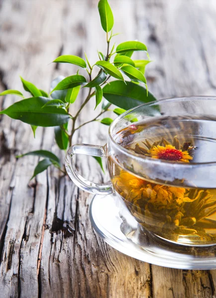 Transparent cup of green tea — Stock Photo, Image