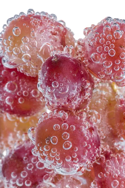 Fresh grapes with bubbles — Stock Photo, Image