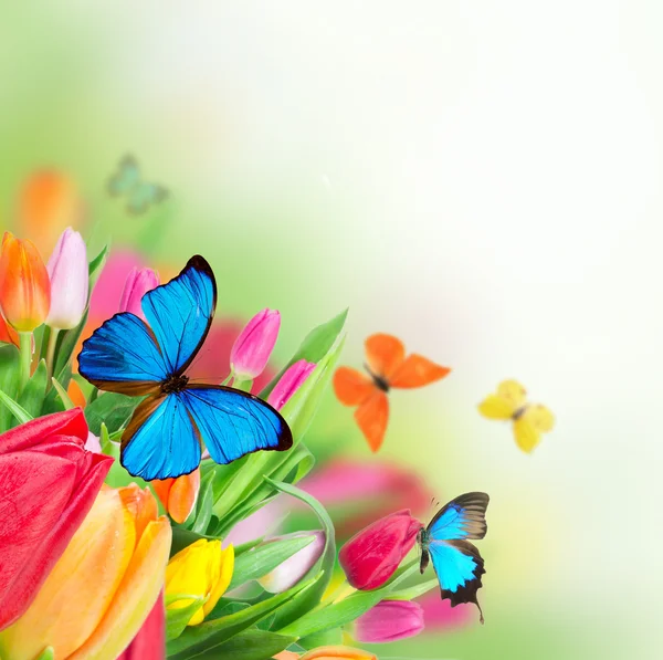 Mooi boeket tulpen. — Stockfoto