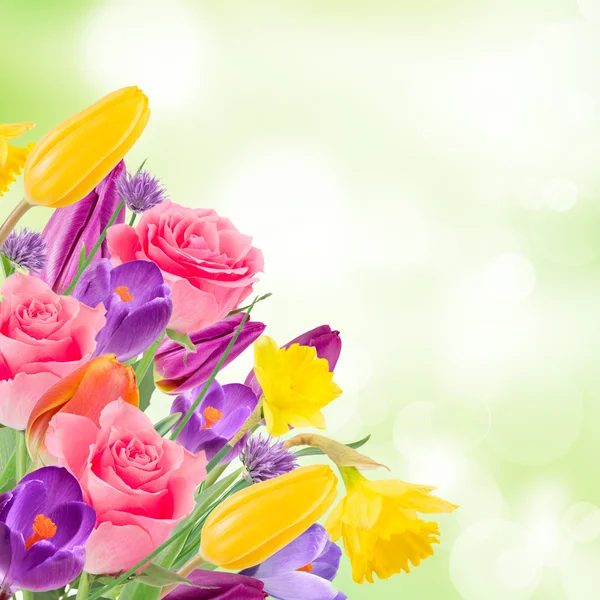 Beautiful bouquet of flowers. — Stock Photo, Image