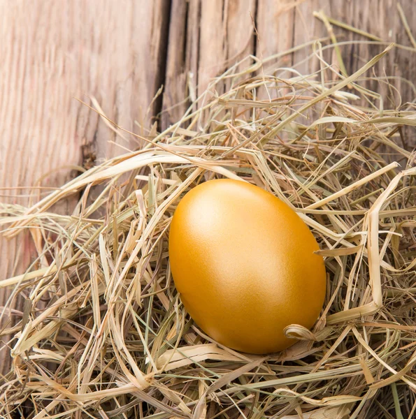 Velikonoční barevné vejce na seno — Stock fotografie