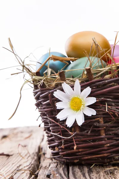 Påsk färgade ägg på hö — Stockfoto