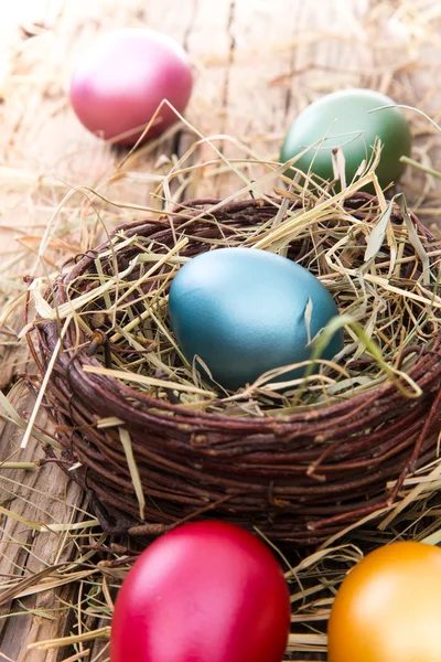 Easter colored eggs on hay — Stock Photo, Image