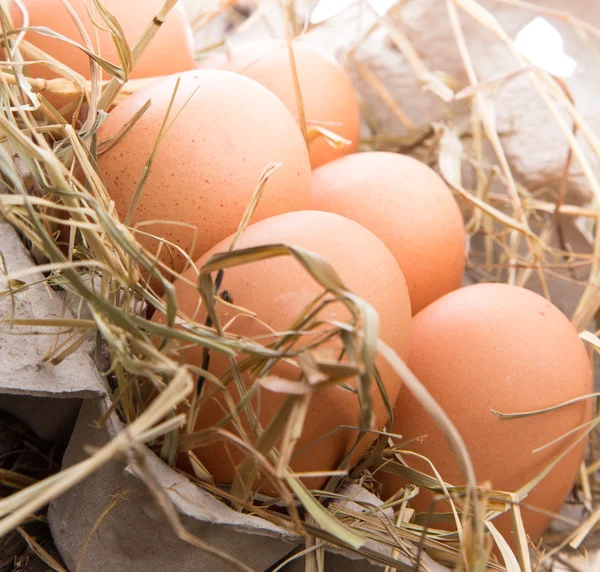 Uova di gallina nel cestino di carta — Foto Stock