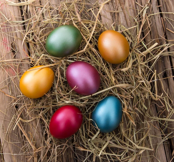 Easter colored eggs on hay — Stock Photo, Image