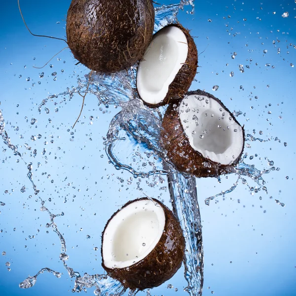 Noix de coco avec éclaboussures d'eau — Photo