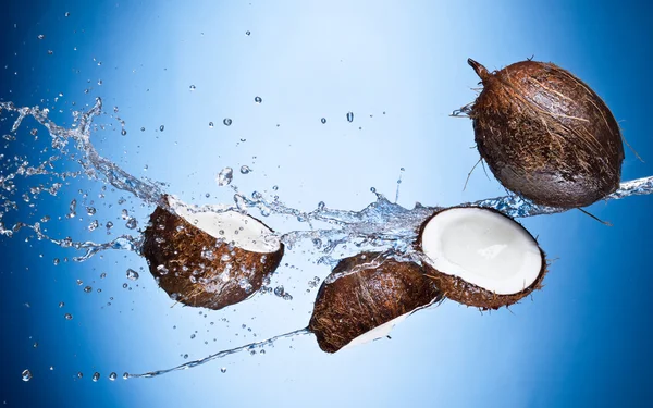 Cocos con agua salpicada — Foto de Stock