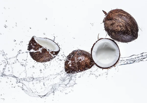 Cocos con agua salpicada —  Fotos de Stock