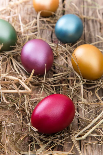 Oeufs de Pâques sur fond en bois — Photo