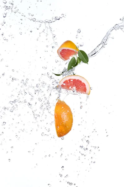 Grapefruit met water splash — Stockfoto