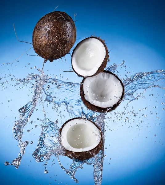 Cocos con agua salpicada — Foto de Stock