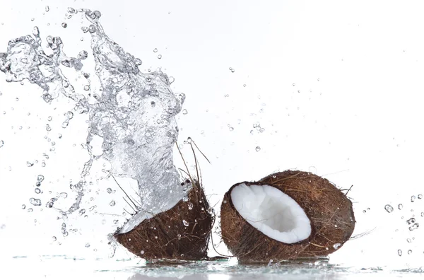 Cocos com salpicos de água — Fotografia de Stock