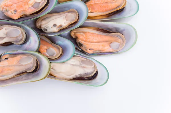 Nya Zeeland gröna musslor — Stockfoto