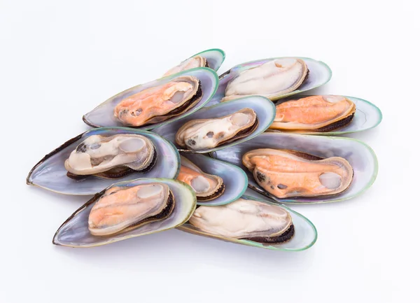 Nya Zeeland gröna musslor — Stockfoto